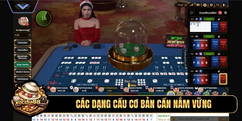 Các dạng cầu cơ bản cần nắm vững