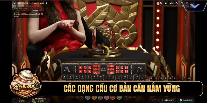 Các dạng cầu cơ bản cần nắm vững