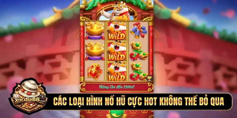Các loại hình nổ hũ cực hot không thể bỏ qua