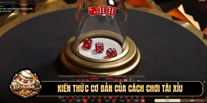 Kiến thức cơ bản của cách chơi tài xỉu