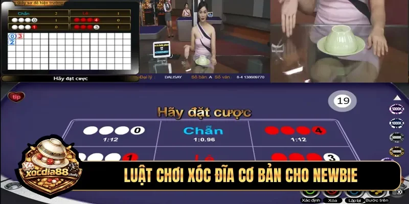Luật chơi xóc đĩa cơ bản cho newbie