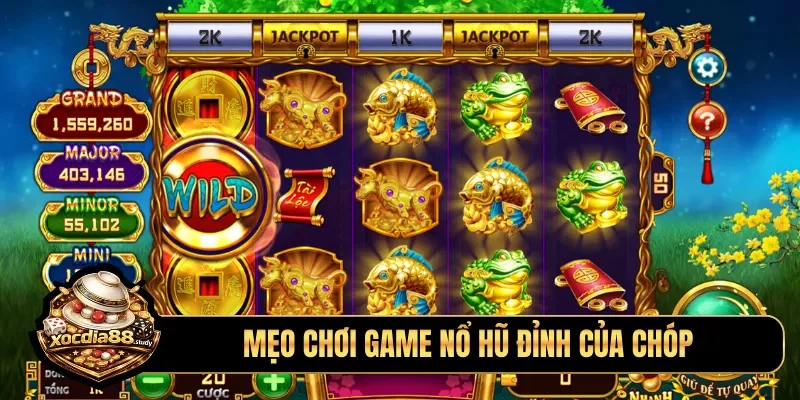 Mẹo chơi game nổ hũ đỉnh của chóp
