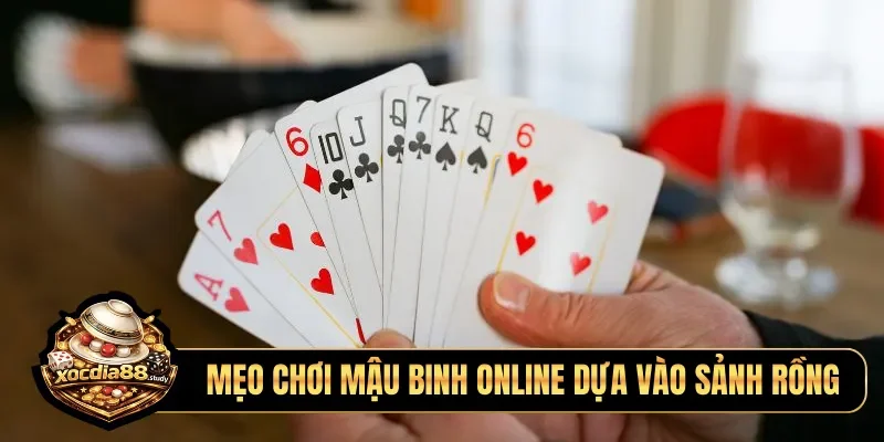 Mẹo chơi mậu binh online dựa vào sảnh rồng