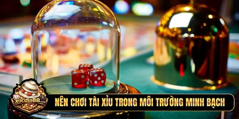 Nên chơi tài xỉu trong môi trường minh bạch