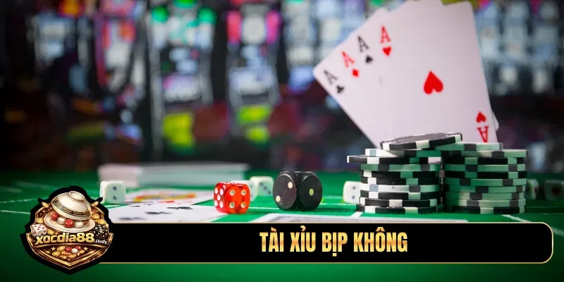 tài xỉu bịp không