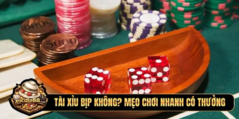 Tài xỉu bịp không? Mẹo chơi nhanh có thưởng