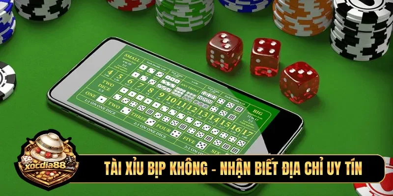 Tài xỉu bịp không - Nhận biết địa chỉ uy tín