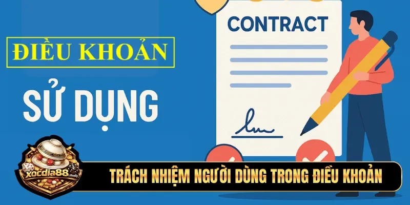 Trách nhiệm người dùng trong điều khoản sử dụng