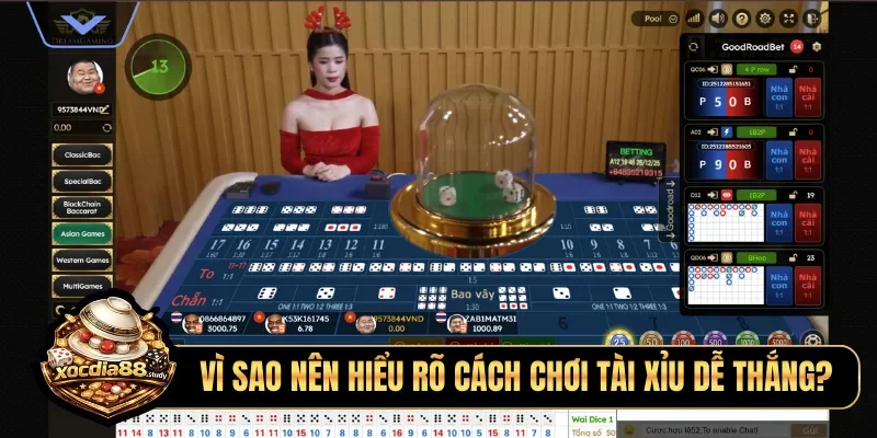 Vì sao nên hiểu rõ cách chơi tài xỉu dễ thắng?